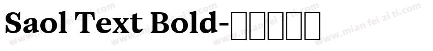 Saol Text Bold字体转换
